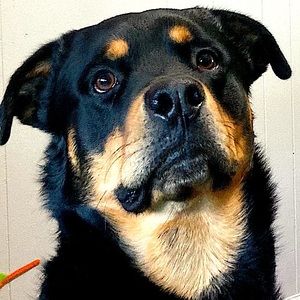 Meet your Posher, Ethan